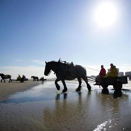 In Near The Beach, Cleaning Included Lägenhet Nieuwpoort